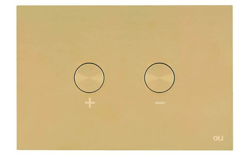 Кнопка смыва антивандальная Blink OLI 878781 Кнопка смыва антивандальная Blink OLI 878781