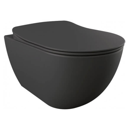 Унитаз подвесной Creavit Free FE322-00AM00E-0000 безободковый с биде Унитаз подвесной Creavit Free FE322-00AM00E-0000 безободковый с биде